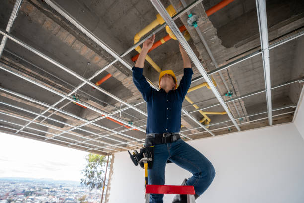 Best Local Plumber Services  in Dalzell, SC