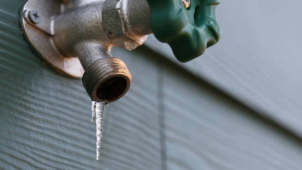Best Clogged Drain Plumber  in Dalzell, SC
